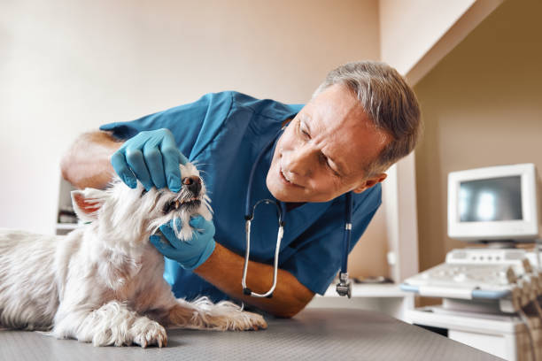 Best Dentist for Tooth Abscess  in Walker Mill, MD